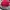 J.Lindeberg Sportswear Casual Hat Pria red photo 2