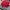 J.Lindeberg Sportswear Casual Hat Pria Red
