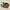 Human Made Vintage Casual Casual shoe Pria brown photo 2