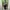 Streetwear Y2K Casual shirt Pria green gray photo 2