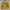 Hush Puppies Luxury Bags & Purse Wanita Yellow
