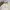 Japanese brand Streetwear Casual Bomber jacket Pria cream photo 7