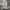 Nike Sportswear Casual Short Pria gray photo 1