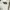 TapOut Y2K Goth Casual shirt Pria white photo 5