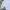 JNCO Y2K Skater Casual shirt Pria gray photo 5