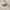 JNCO Y2K Skater Casual shirt Pria cream brown photo 4