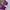 Vintage Y2K Cardigan Pria purple green photo 4
