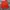 Adidas Sportswear Short Pria red photo 2