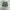 Stussy Vintage Streetwear Short Pria green photo 5