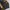 BOY London Vintage Casual Cardigan Pria yellow black photo 3
