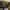 BOY London Vintage Casual Cardigan Pria yellow black photo 5