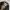 BOY London Vintage Casual Cardigan Pria yellow black photo 4