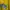 Pancoat Futurist Casual Sweater Wanita yellow photo 2
