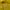 Pancoat Futurist Casual Sweater Wanita yellow photo 4