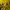 Pancoat Futurist Casual Sweater Wanita yellow photo 3