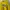 Pancoat Futurist Casual Sweater Wanita yellow photo 1