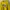 Pancoat Futurist Casual Sweater Wanita Yellow