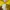 Pancoat Futurist Casual Sweater Wanita yellow photo 6