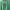 Pancoat Futurist Casual Sweater Wanita Green