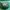 Pancoat Futurist Casual Sweater Wanita green photo 5
