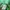 Pancoat Futurist Casual Sweater Wanita green photo 6
