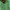 Pancoat Futurist Casual Sweater Wanita green photo 4