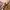 KIRSH Lolita Casual Sweater Wanita tan photo 3