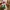 KIRSH Lolita Casual Sweater Wanita tan photo 5