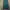 Casual Skirt Wanita green black photo 1