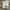 Nike Vintage Sportswear Hat Pria white photo 5