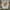 Nike Vintage Sportswear Hat Pria white photo 4