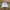 Nike Vintage Sportswear Hat Pria White