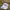Nike Vintage Sportswear Hat Pria white photo 2