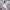 H&M Casual Crop top Wanita white khaki photo 2