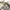 Burberry Vintage Avant Garde Shirt Wanita cream photo 7