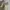 Burberry Vintage Avant Garde Shirt Wanita cream photo 2