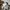 Burberry Vintage Avant Garde Shirt Wanita cream photo 8