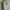 Burberry Vintage Avant Garde Shirt Wanita cream photo 4