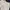 Carhartt Vintage Streetwear Dungaree Pria tan photo 8