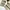 Carhartt Vintage Streetwear Dungaree Pria tan photo 7