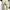 Carhartt Vintage Streetwear Dungaree Pria tan photo 3