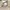 Carhartt Vintage Streetwear Dungaree Pria tan photo 4