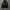 Nike Luxury Minimalist Hoody Pria black photo 1