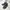 Adidas Streetwear Sportswear Sneakers Pria black photo 1