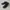 Reebok Sportswear Casual Sneakers Pria white navy photo 1