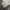 Jeep Casual Sweatshirt Pria gray photo 4