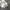 Topten Casual Sweatshirt Pria white gray photo 3