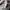 Topten Casual Sweatshirt Pria white gray photo 5