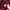 Dickies Avant Garde Track jacket Pria burgundy photo 3