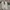 Lacoste Casual Sneakers Pria white photo 5